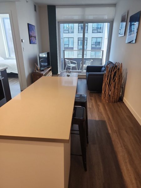 Fully Furnished 1 Bedroom Rental in Beltline Calgary