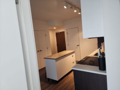 Fully Furnished 1 Bedroom Rental in Beltline Calgary