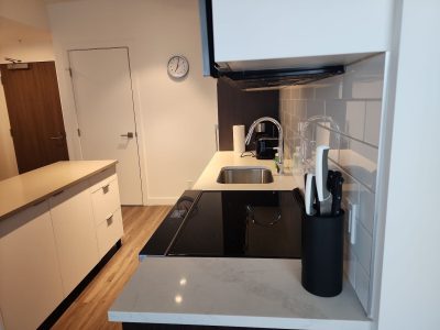 Fully Furnished 1 Bedroom Rental in Beltline Calgary