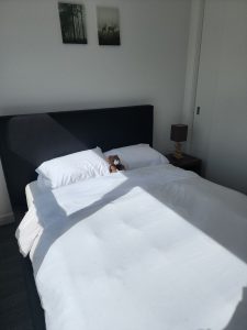 Serviced & Corporate 1 Bedroom Apartment in Calgary