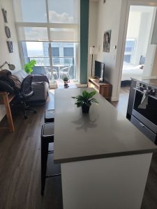 Serviced & Corporate 1 Bedroom Apartment in Calgary